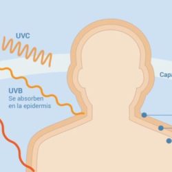 Alergia polimorfa rostro sombrero ligera protegerte reacción alérgica