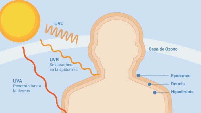 Alergia polimorfa rostro sombrero ligera protegerte reacción alérgica