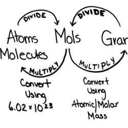 Grams to moles and moles to grams worksheet