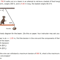 A hungry bear weighing 700n